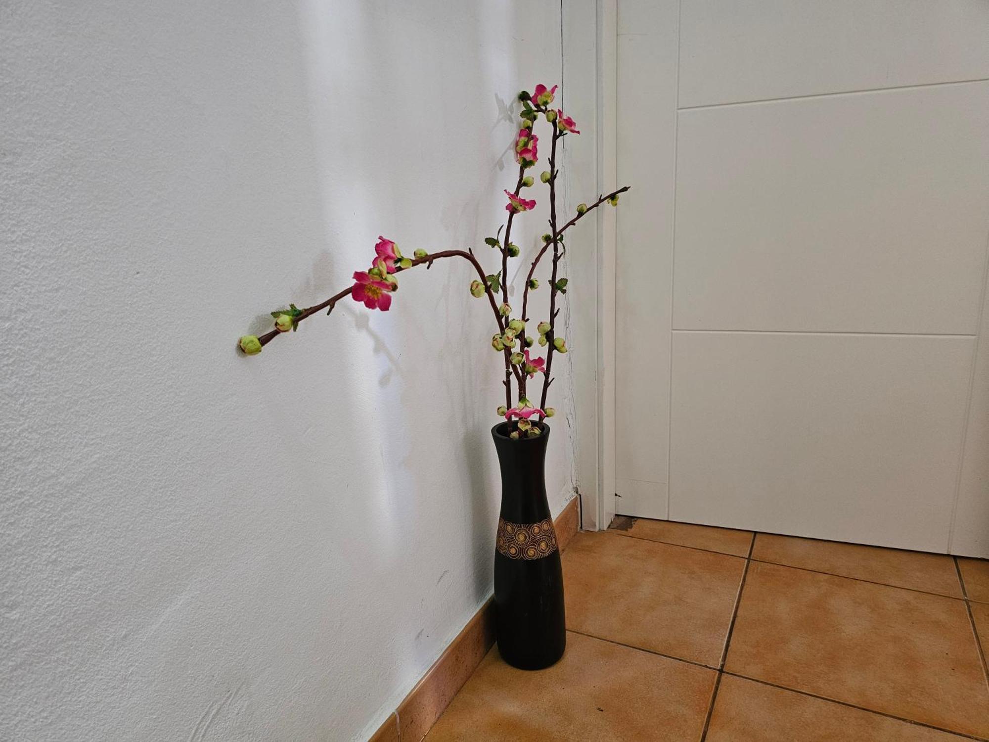Keka'S Guesthouse - City Centre Santa Cruz de Tenerife Dış mekan fotoğraf